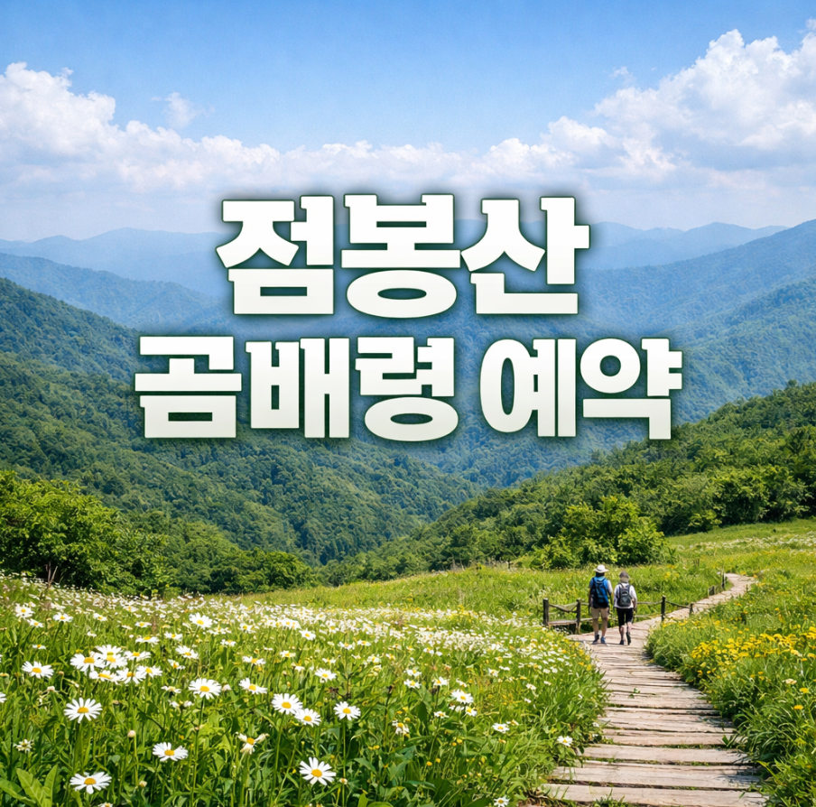 점봉산 곰배령 예약 썸네일