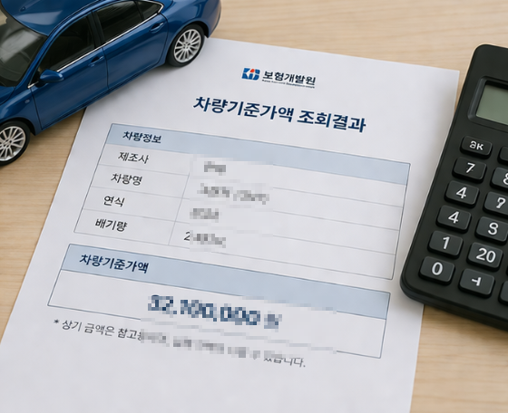 보험개발원 차량기준가액 활용