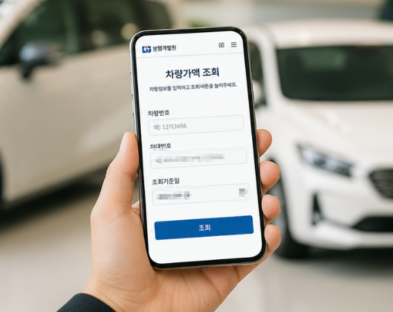 자동차 보험개발원 차량가액 활용